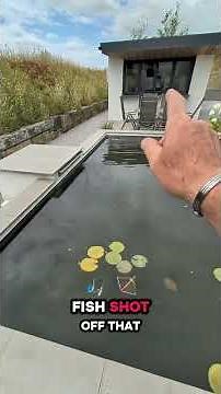 Clever Pond Hack for Crystal Clear Water! 🐠 Creating more splash 💦 #koi