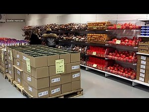 KONKURRENZ: Russischer Discounter will Aldi und Lidl angreifen