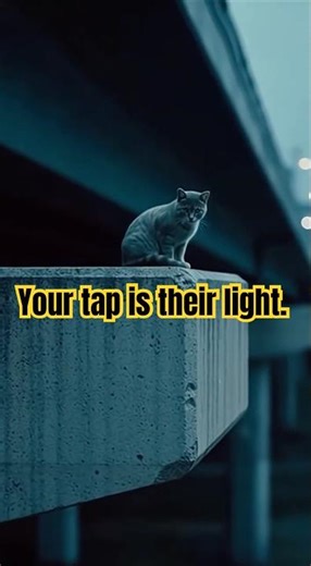 The Digital Bridge: How One Tap Lights the Path to Rescue 📱