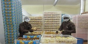 20 Business Opportunities in Oyo State For Investors -