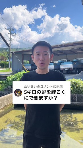 5キロの鯉は鯉こくにできるのか、、、？ #鯉 #鯉ひろまつ #鯉料理 #福岡 #三代目大将