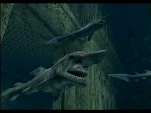 Wii - Endless Ocean 2 - Trailer 25.1