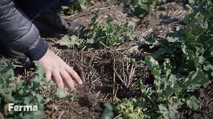 11K views · 83 reactions | Tânărul fermier Doru Gheorghe, din...