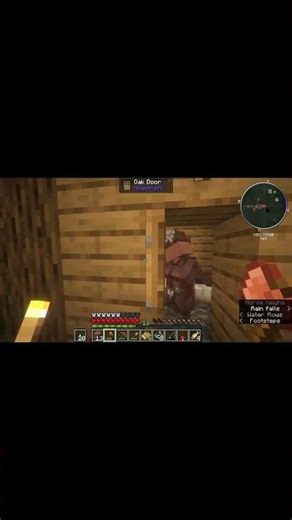 Minecraft Villagers Getting Romantic w/ Each Other - #shorts