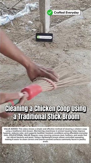 Cleaning a Chicken Coop Using a Traditional Stick Broom #craftedeveryday