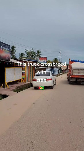 #fypシ #guyana #adventure #funny