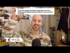 Local hero single-handedly repopulates endangered butterfly species