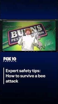 Bee attack on Phoenix hiking trail prompts safety warnings | FOX 10 Phoenix