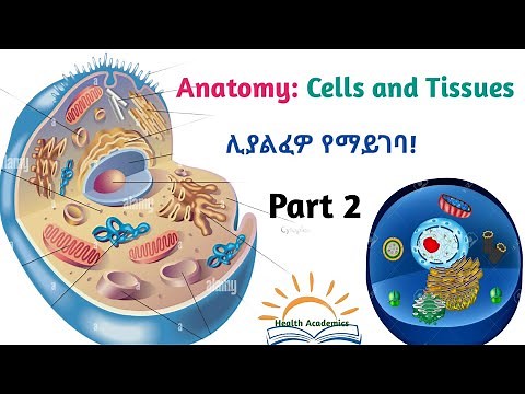 Anatomy: Cells and tissues, Interesting Video Lecture with Amharic Speech, Part 2