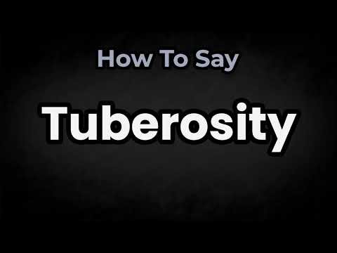How To Pronounce Tuberosity? (CORRECTLY) Meaning & Pronunciation
