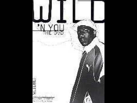 Wild 'n you: The DVD - The Live Tour Album