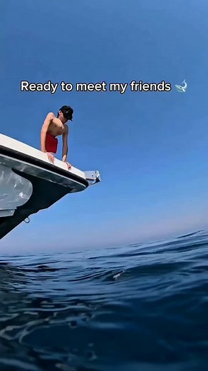 Paus biru (Balaenoptera musculus) adalah mamalia laut yang tergolong dalam subordo paus balin.[3] Panjangnya mencapai lebih dari 33 meter dan massanya tercatat sebesar 181 ton atau lebih. Binatang ini diyakini merupakan hewan terbesar yang pernah diketahui. | Ramadisa Ramadhan