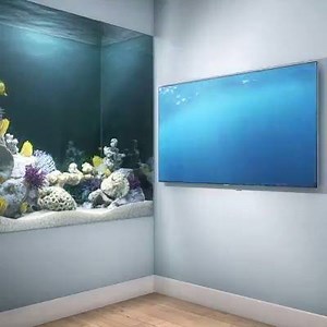 When you don't know what's real anymore 😂 | Current-USA