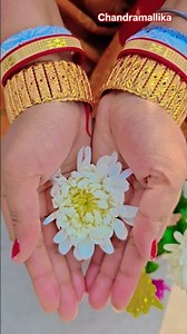 ফুল নিয়ে টিকটক #gardening #youtubeshorts #UpdateGardening #garden #youtubeshort #flowers #rose