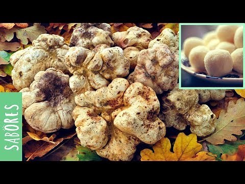 El fraude de la carísima trufa blanca