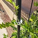 50 PCS Secured Plastic Plant Clip, Plant Support Clips, Garden Clips for Climbing Plants, Plastic Trellis Clips Plant Support Clips Tomato Grape Vine Vegetables Plant Fixing Clips (50, Green)