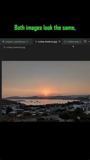 Hide Secret Messages in Images with Python #Python #Steganography #PythonTips #PythonTricks