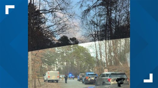 Dog fight at Hall County park turns deadly as one owner shoots, kills man and his dog, sheriff says