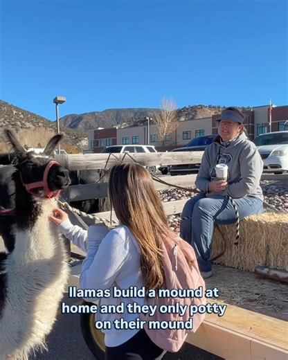 Garfield Re-2 School District on Reels