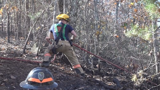 'This is very serious' | Pigeon Forge and Sevier County fire departments urge safety after increased risk of wildfires