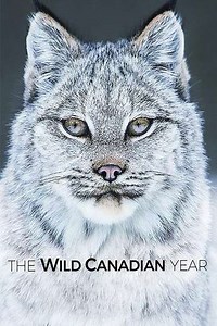 The Wild Canadian Year (2017) - TV Show