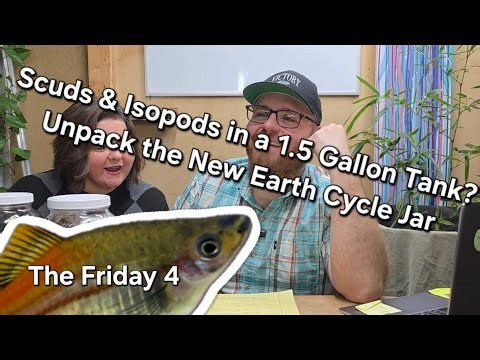Scuds and Isopods in a Micro Tank - The Friday 4 ep. 2