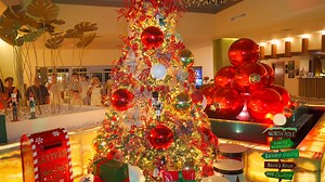 8.2K views · 36 reactions | Christmas has arrived at #DreamsOnyx, Punta Cana!  Take a look at our Christmas Tree Lighting celebration. | Dreams Onyx Resort and Spa | Facebook