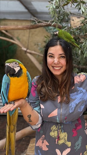 This is what adventure looks like at Port Stephens Animal Adventures 🐍🦜🦈 | Port Stephens Animal Adventures