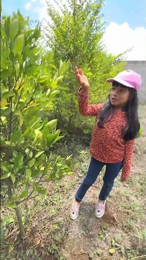 Aprendiendo las Partes de las Plantas - Videos Educativos - Aprendizaje #aprendizaje