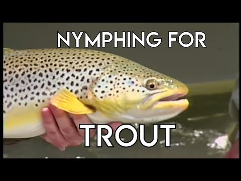 Nymphing for Trout | North Platte River Wyoming