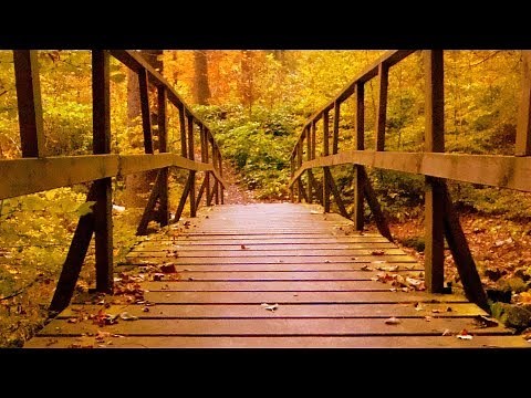 Peaceful Relaxing Instrumental Music, Meditation Soft Music "Golden Pathway" by Tim Janis