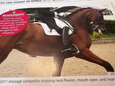 Can Dressage Be Saved? Expert Panel Reviews - The Highlights