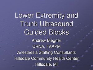 Lower Extremity and Trunk Ultrasound Guided Blocks - SlideServe