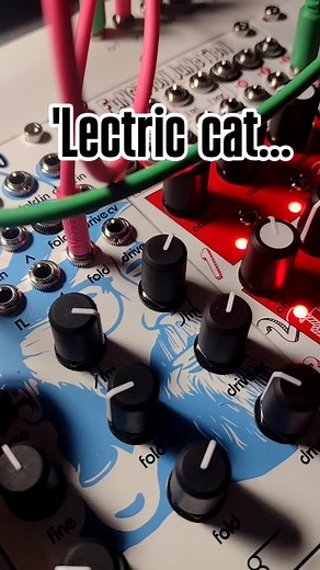 5 comments | This is what I imagine how a robot cat may sound.  #modularsynth #noise #electriccat | Terrence Burke | Facebook