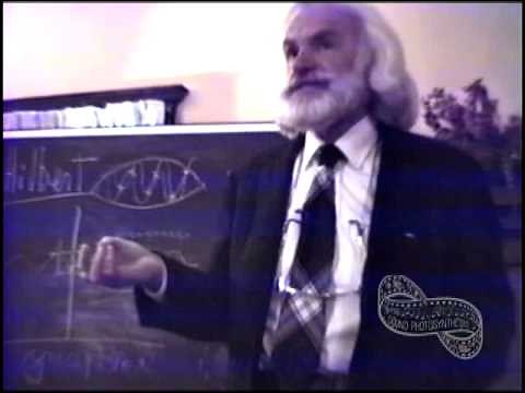 KARL PRIBRAM - A Holonomic Brain Theory