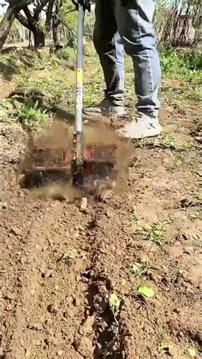 Loosening soil manually prepares fertile ground for plantin