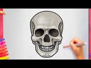 How to Draw a Skull Easy for Beginners Step by Step