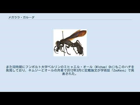 メガララ・ガルーダ