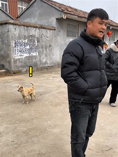 dog sound prank Gone wild 😜😭 #animetiktok #prankwithdogs #dogs #funnyanimals #dogsoftiktokviral