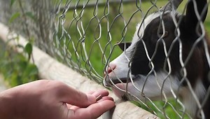 The Top Summer Activities for Kids in 2025?