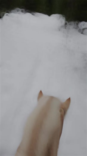 kari's zoo (@kariadaliadakotas)’s videos with original sound - DaDa - Rx