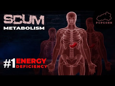 SCUM Energy Deficiency Metabolism Breakdown Series (SCUM Game) #SCUM