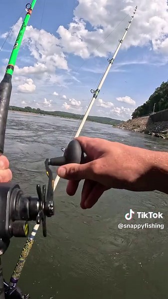 These fish were taking my bait and doing burnouts around the turbines 🔥🐋😂#fishtok #catfishing #catchandrelease #slungercatoutdoors #tohatsu #riverlife #fishinglife #madkatz #fishing #snappybfishing #bluecatfish #boat #shad @Bluegrass Catfishing