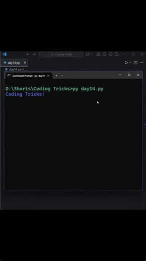 Day 14 – Python Typing Effect Animation ⌨️✨