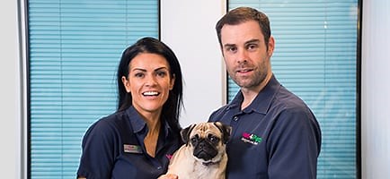 Barnsley Hospital Vets for Pets