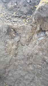 Digging a spot for the huge lagoon pond will need a backhoe. I being little Davey earthmover struggled some but finally managed to dig out the necessary rocks and clay while removing two old liner ponds. #engineeredrocks #lagoonpond #largeponds #rockponds #lightweightponds #lilypond #koipond #maintenancefriendly | Garden Gnomes Etc | Facebook