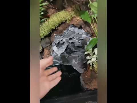 Exo terra paludarium pro build 45x45x90