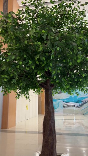 1.5K views · 31 reactions | Gaisano Mall of Cebu is so pretty! #gmallofcebu #thecebuano | The Cebuano | Facebook