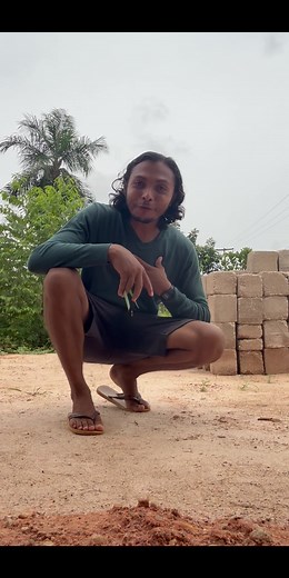 Tamanho e Força dos Animais em Experimentos Científicos