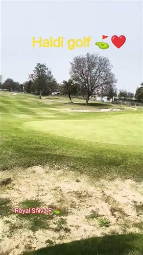 Haldi golf ⛳#youtubeshorts